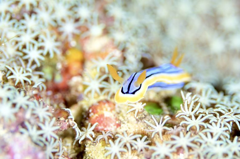 沖縄　石垣　okinawa