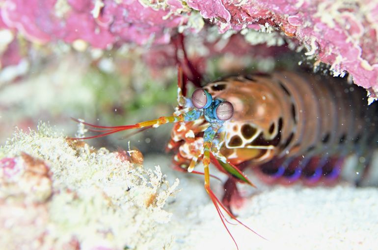 沖縄　石垣　okinawa