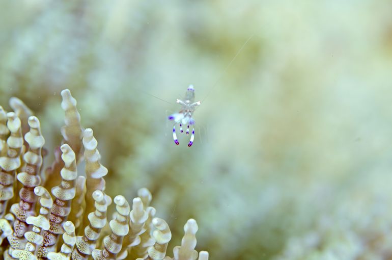 沖縄　石垣　okinawa