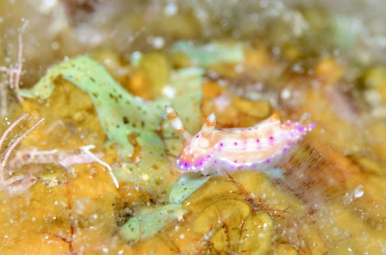 沖縄　石垣　okinawa