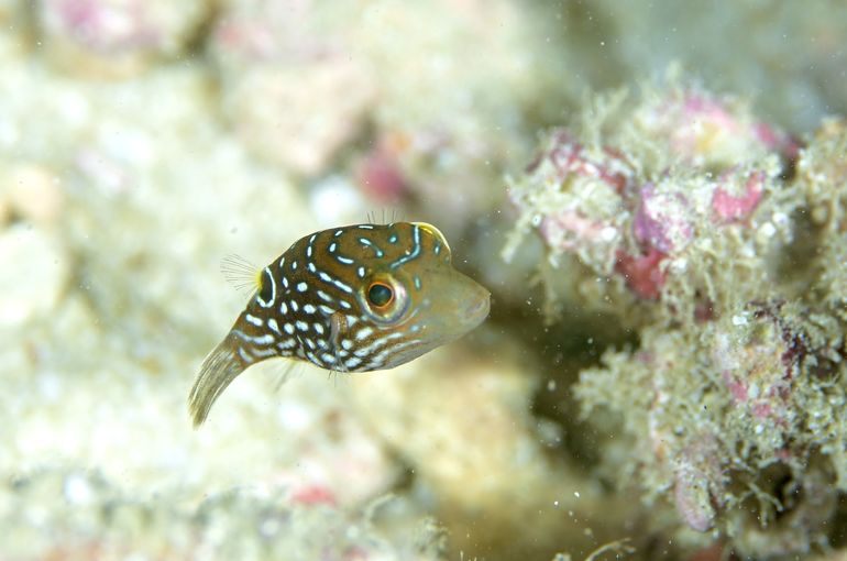 沖縄　石垣　okinawa