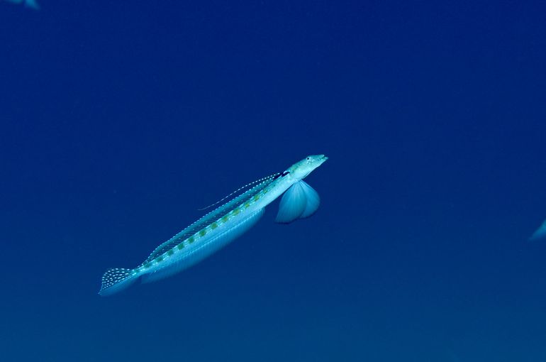 海　Sea ocean