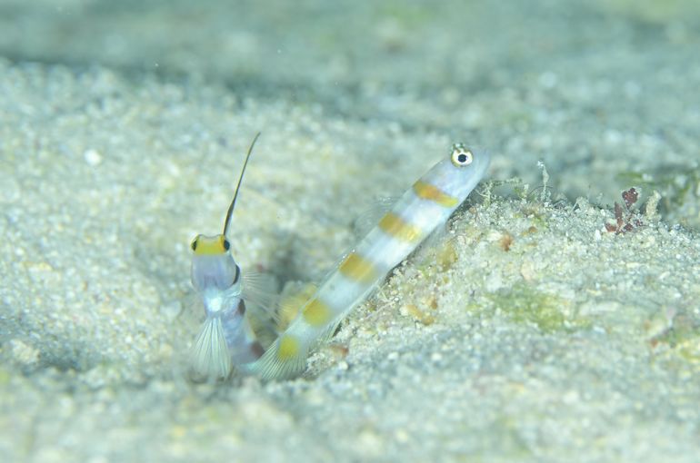 沖縄　石垣　okinawa