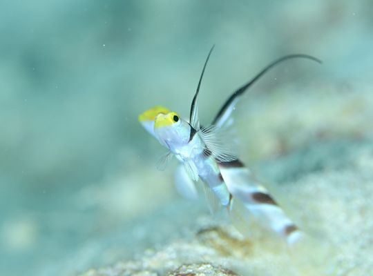 石垣　沖縄　okinawa