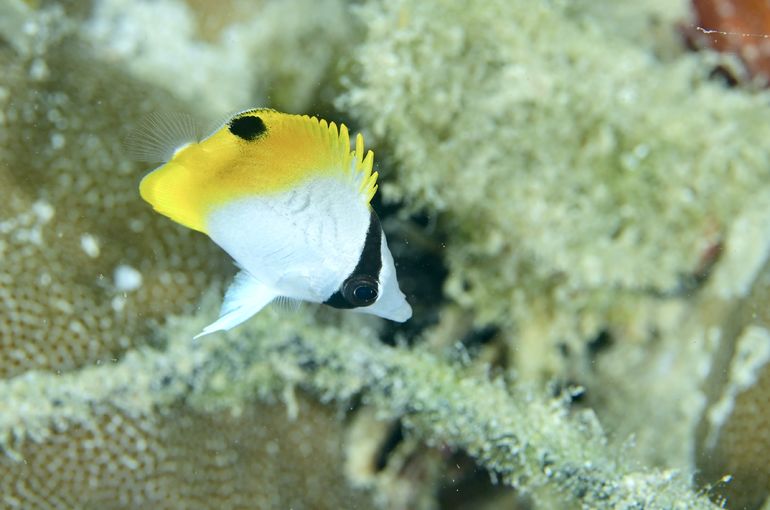 石垣島　沖縄　okinawa