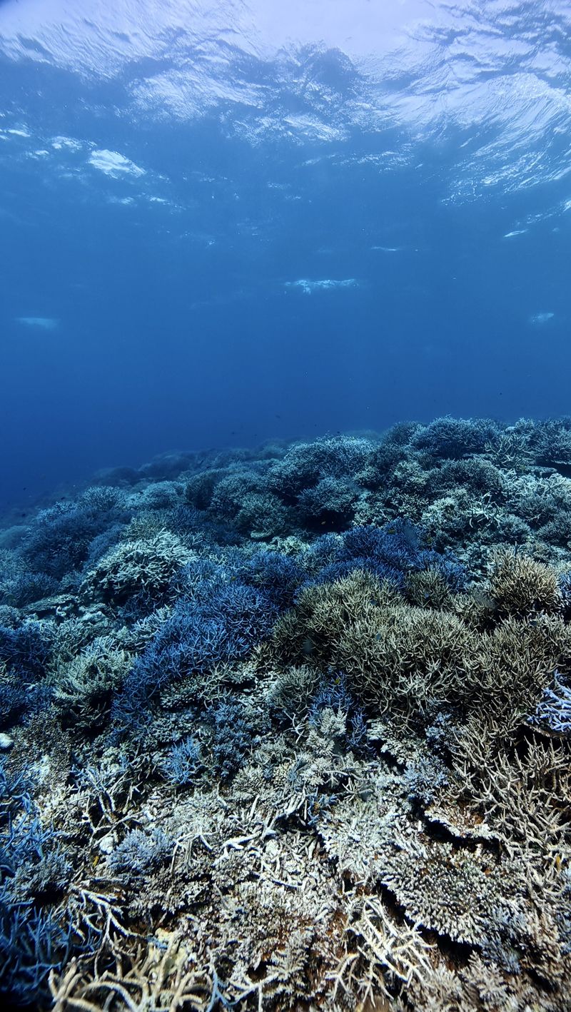 dji_mimo_20250509_115540_202..