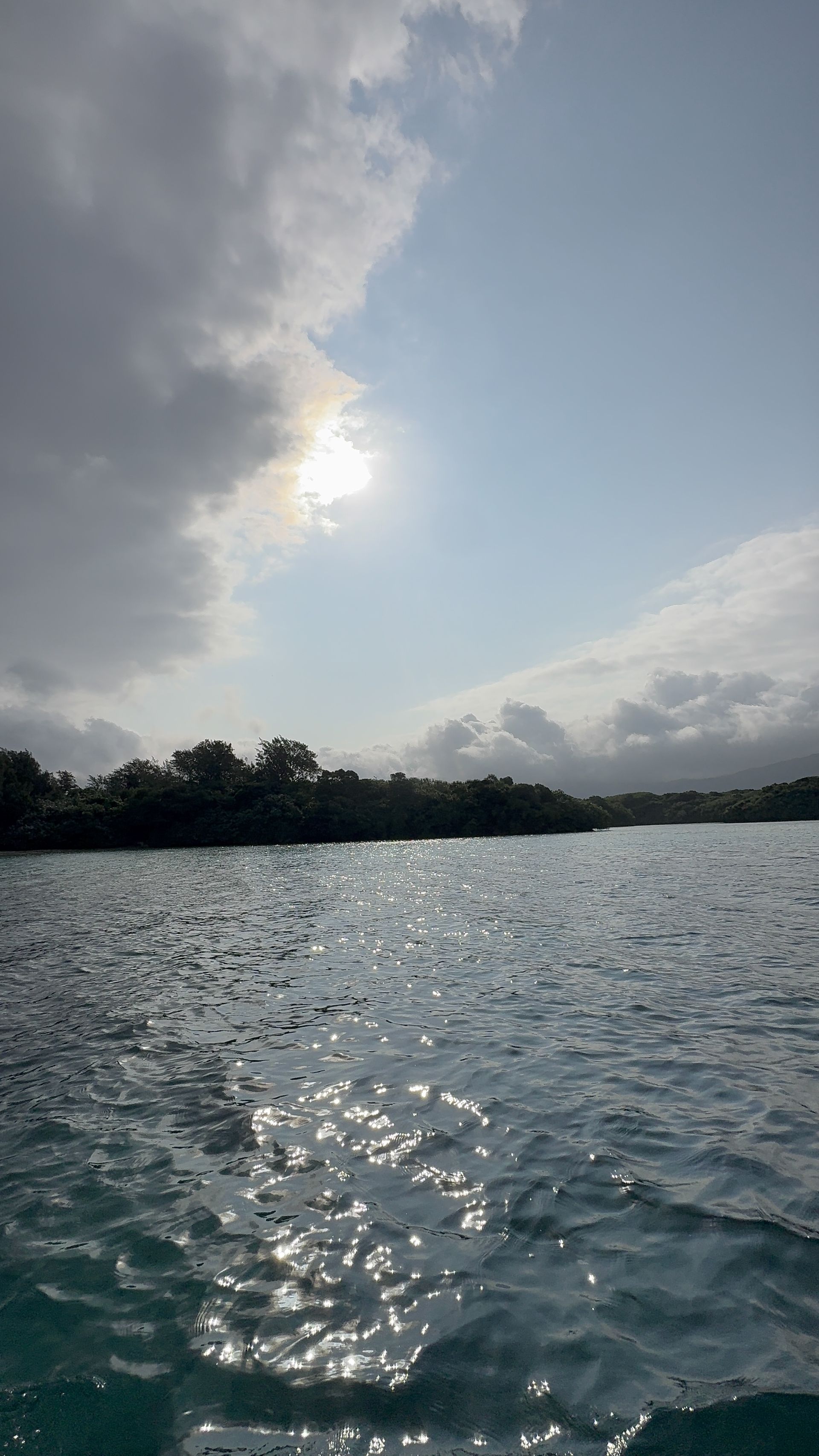 IMG_0511.jpeg
