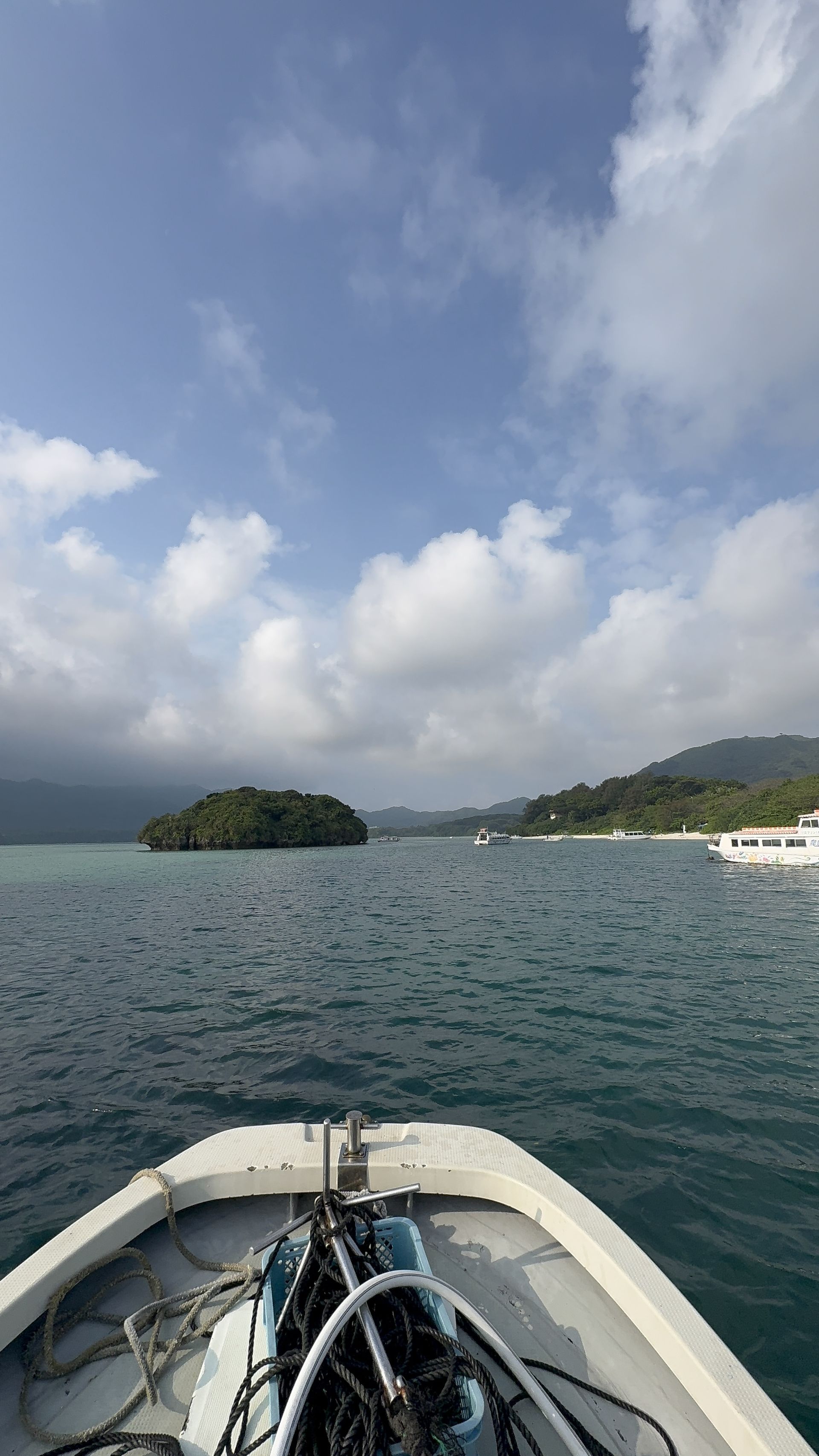 IMG_0553.jpeg