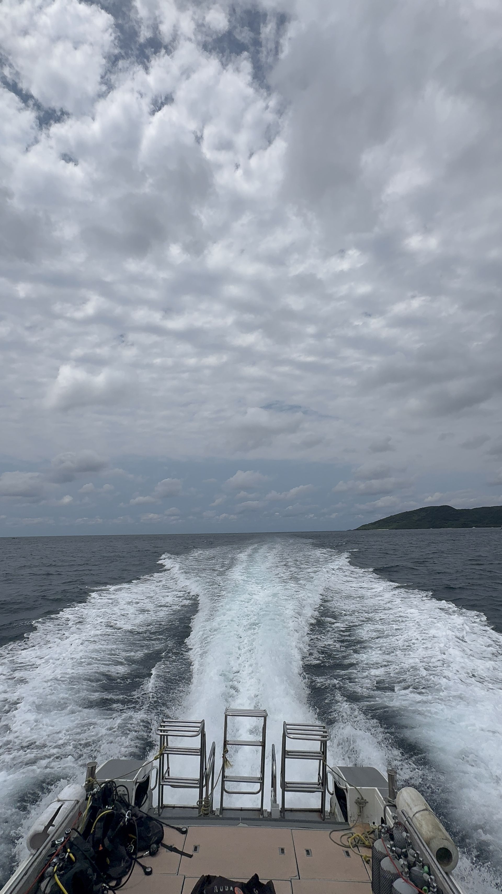 IMG_0709.jpeg