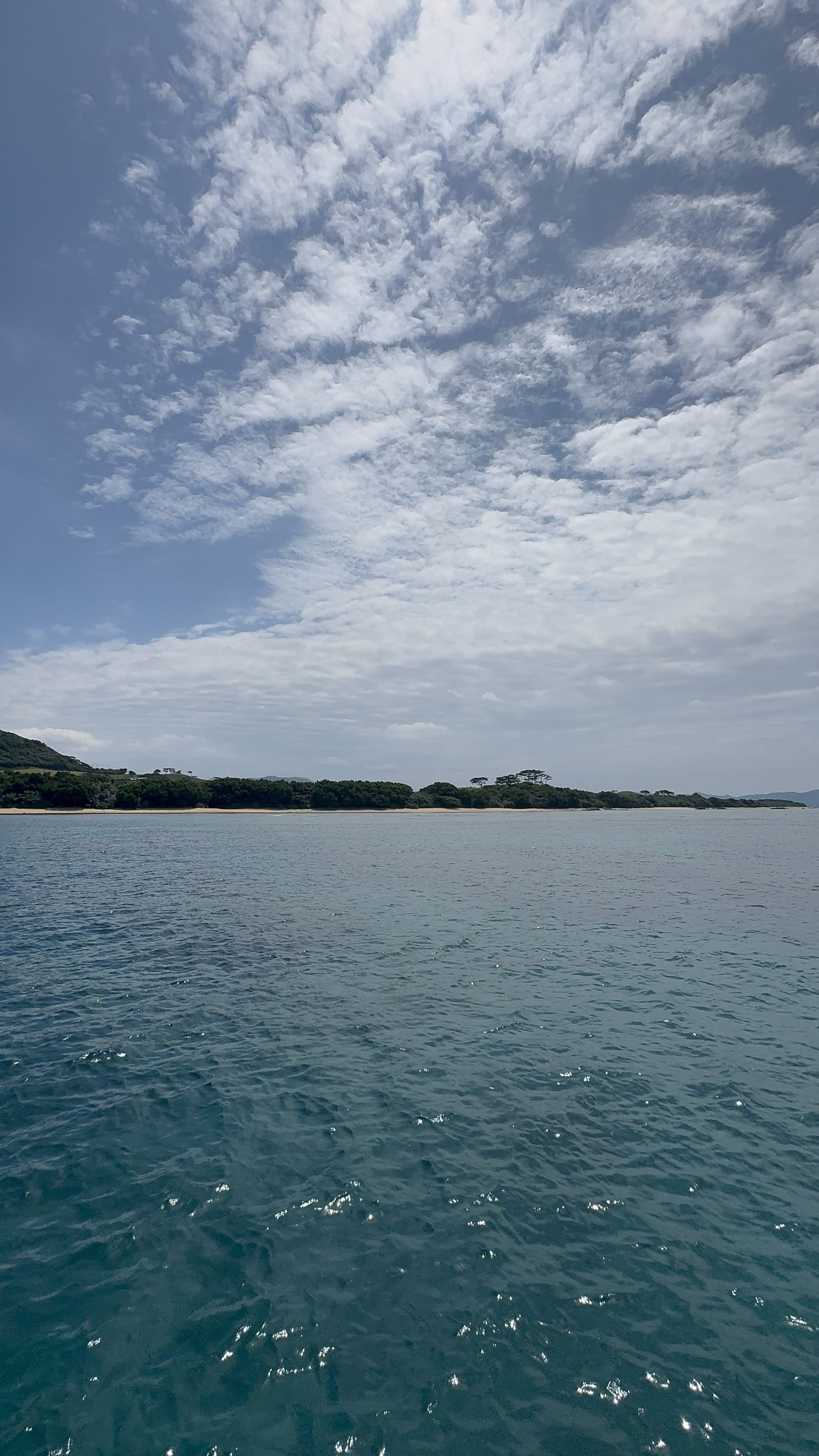 IMG_0908.jpeg