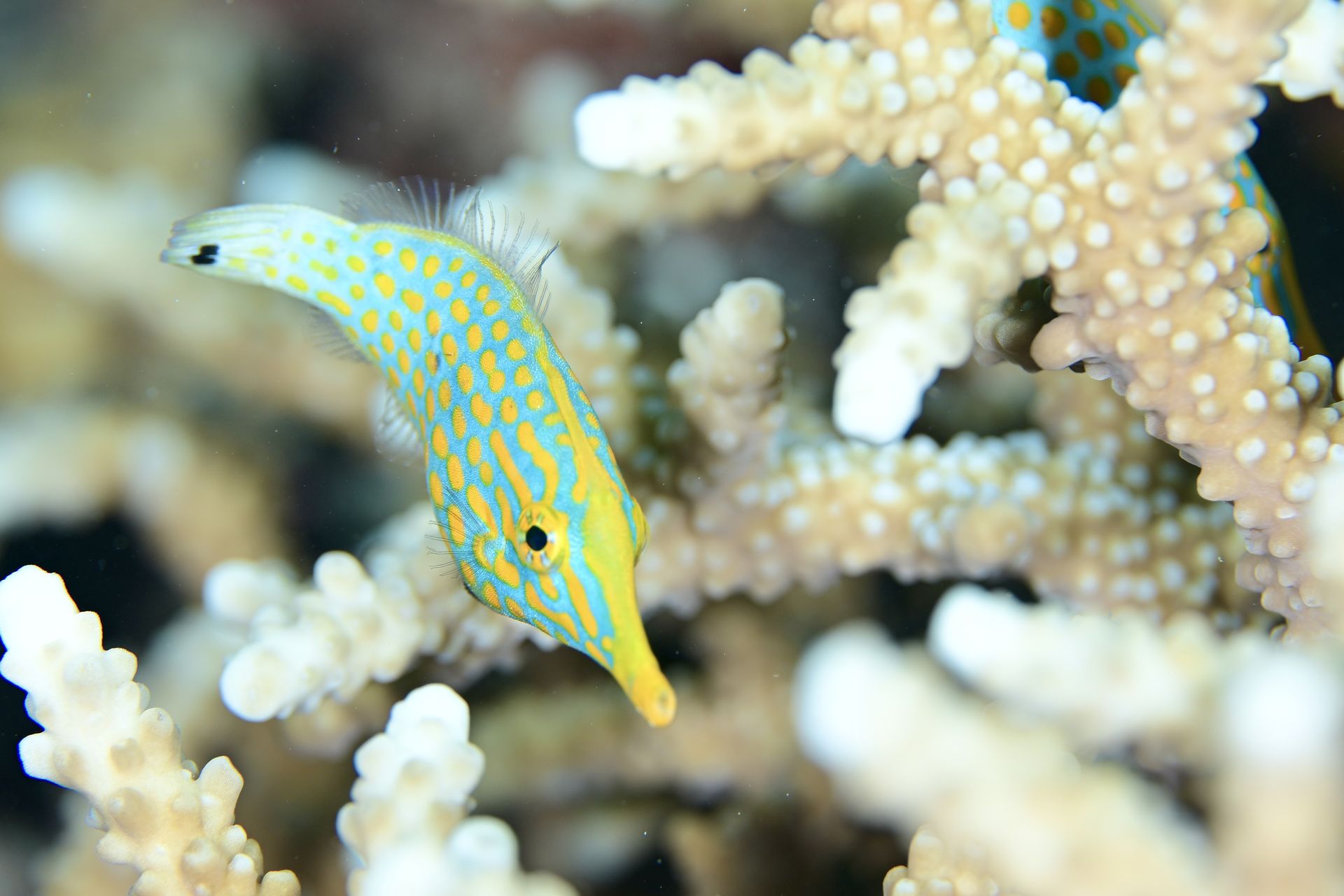 MAC_0348.jpeg