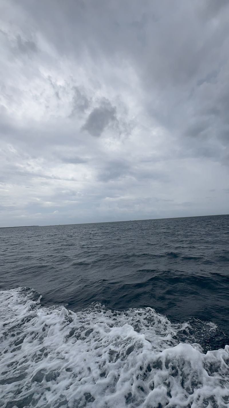 IMG_1671.jpeg